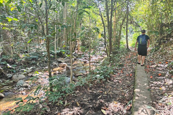 16 Lines Zipline, Cave, Hiking & Biausevu Waterfall Combo Tour - Weather and Cancellation Flexibility