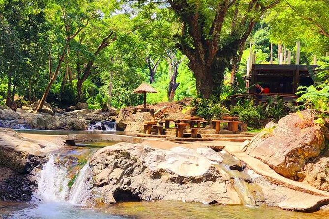 6 Hours Giant Zipline Adventure Park in Fiji - A jungle setting at the foot of Sleeping Giant