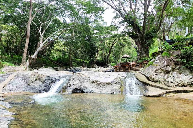 6 Hours Giant Zipline Adventure Park in Fiji - What the six-hour day is likely to feel like