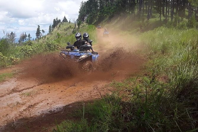 ATV Quad Bike Adventure Tour (Departs Nadi) - Is $168.37 good value?