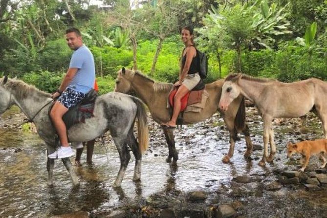 Authentic Fijian Day Tour - What this $85.52 Fiji tour is really offering