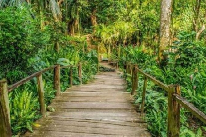 Best of Fiji Tours: 3 Days Package - What you get for $338.66 per person