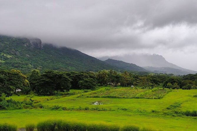 Biausevu Waterfall Tour (Sigatoka) - Is $103.48 per person fair?