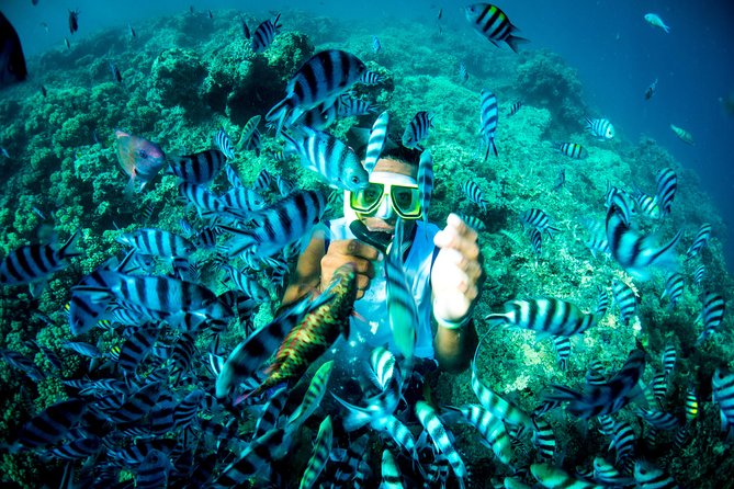 Blue Lagoon Cruises - Wanderer Cruise - 4 Night - Cabins and the small-ship trade-off