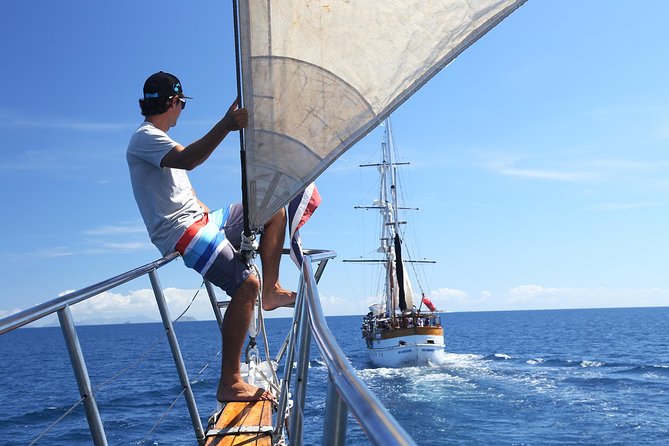 Capt Cook Cruises Super Saver Combo: Day Sail + Dinner Cruise - What the $202.73 price really covers