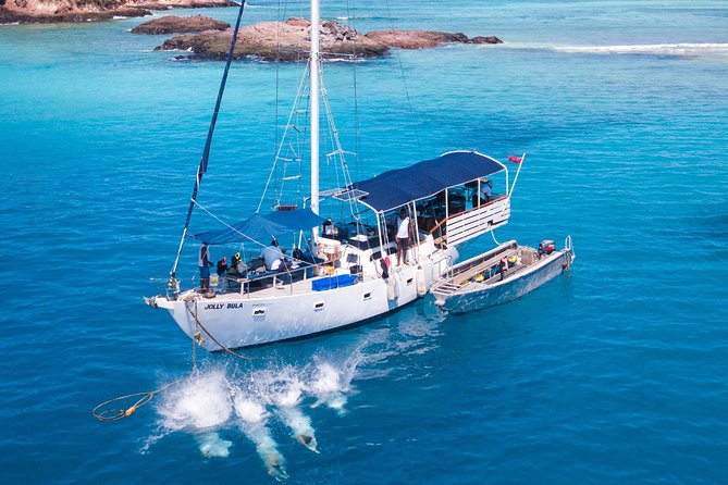 Coconut Cruiser Package | 7Days | 6Nights with All Activities Included - Days 3 and 4: Mantaray Island and Barefoot Manta