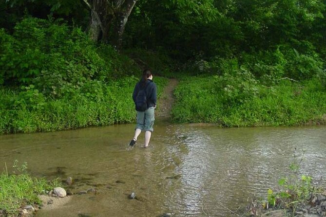 ''Coral Coast Adventure: Biausevu Waterfall & Natadola Beach !'' - The rainforest walk to Biausevu Waterfall