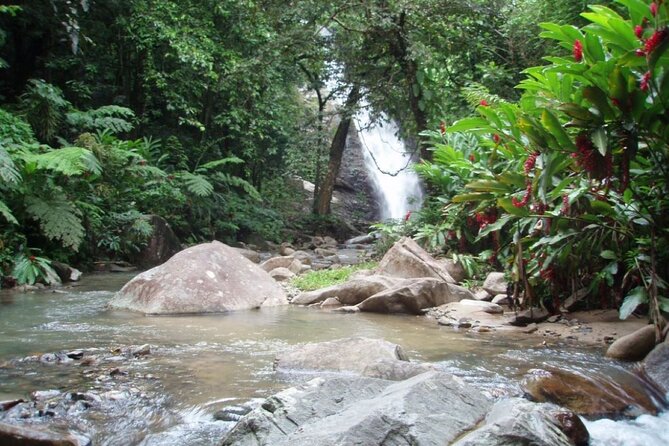 ''Coral Coast Adventure: Biausevu Waterfall & Natadola Beach !'' - Who will enjoy this day most