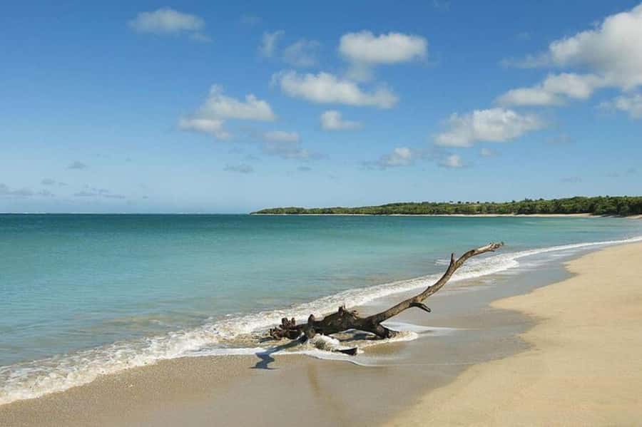 Coral Coast Adventure: Biausevu Waterfall & Natadola Beach - The guide makes the difference
