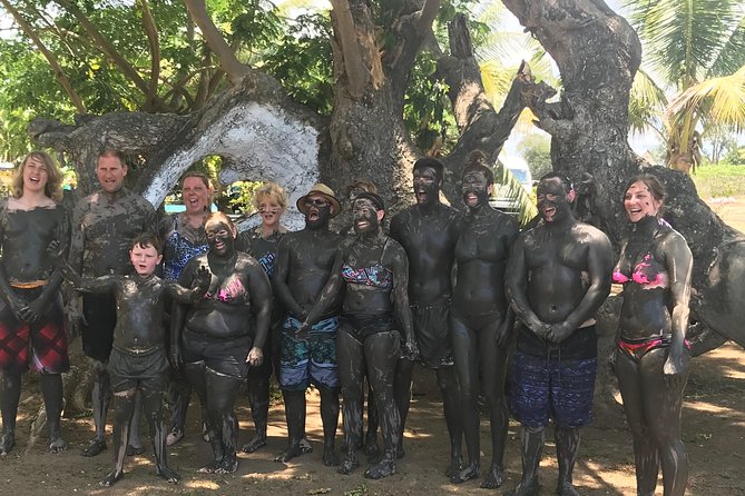 Coral Coast Sightseeing & Pottery Village Tour - Who should book this Coral Coast tour?
