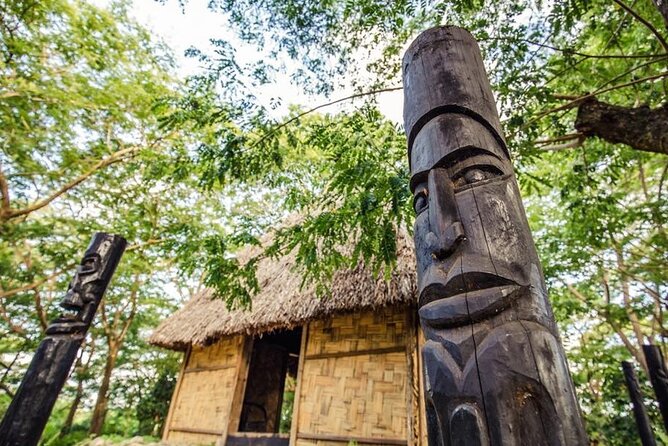 Cultural Day Tour - Kava ceremony from 11:40 a.m. to noon