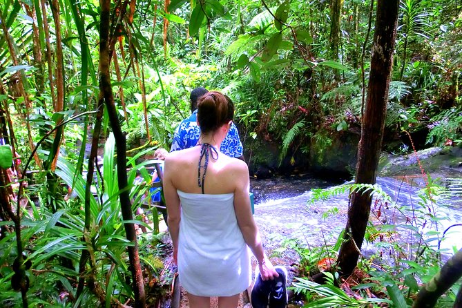Customized Suva day tour - Colo-i-Suva forest, waterfalls, and natural pools