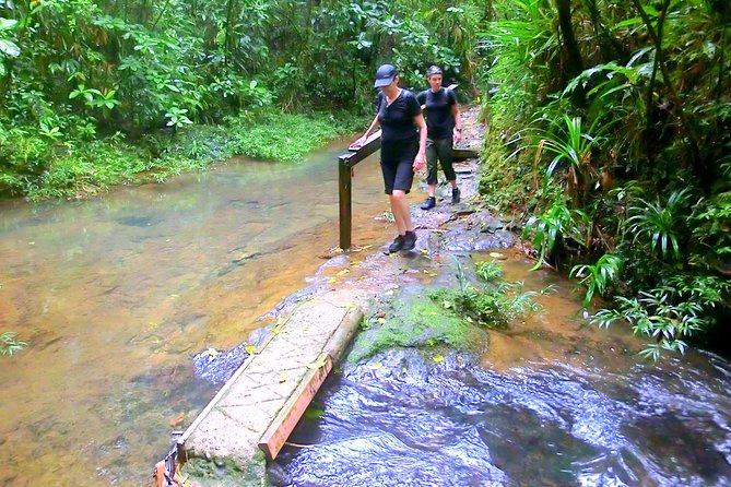 Customized Suva day tour - What the guides add to the day