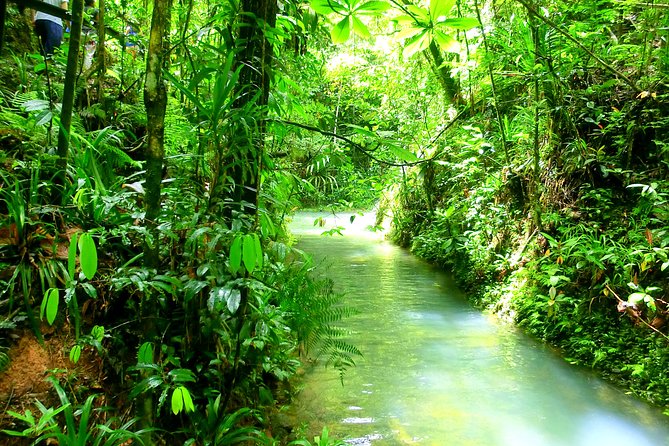 Customized Suva day tour - Price, value, and the private tour question