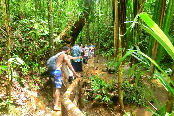Customized Suva day tour - Rain, timing, and physical effort