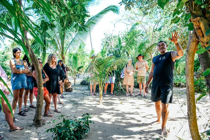 Day and Night Combo Tour - Lovo lunch and the stories behind the food