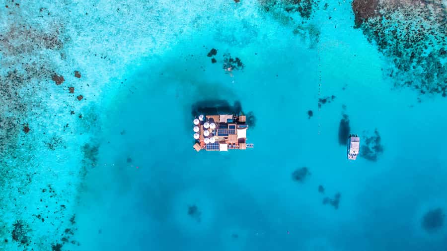 Denarau: Seventh Heaven Floating Bar Day Trip - From Port Denarau to the open sea