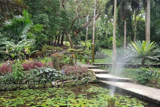 Discover Mud pool/Hot -Spring Nadi - Slippery rocks and basic facilities