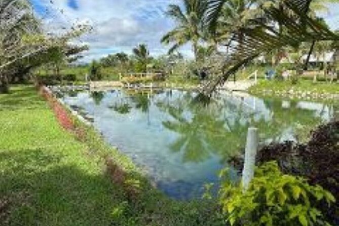 Discover Mud pool/Hot -Spring Nadi - Timing, cancellation, and cruise-day planning