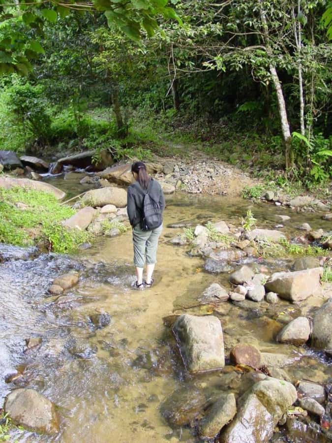 Fiji Biausevu waterfall & Village Tour - The optional 45-minute horseback ride