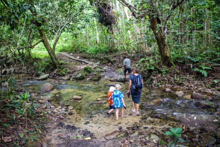 Fiji Biausevu waterfall & Village Tour - Lunch at Baravi Handicrafts and Cafe