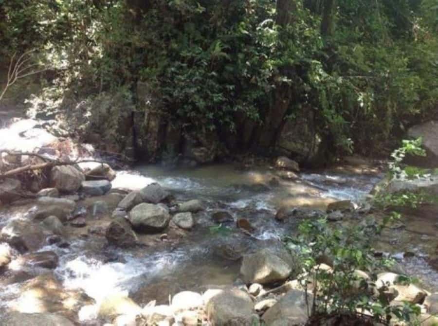 Fiji Biausevu waterfall & Village Tour - The real value of the $119 price