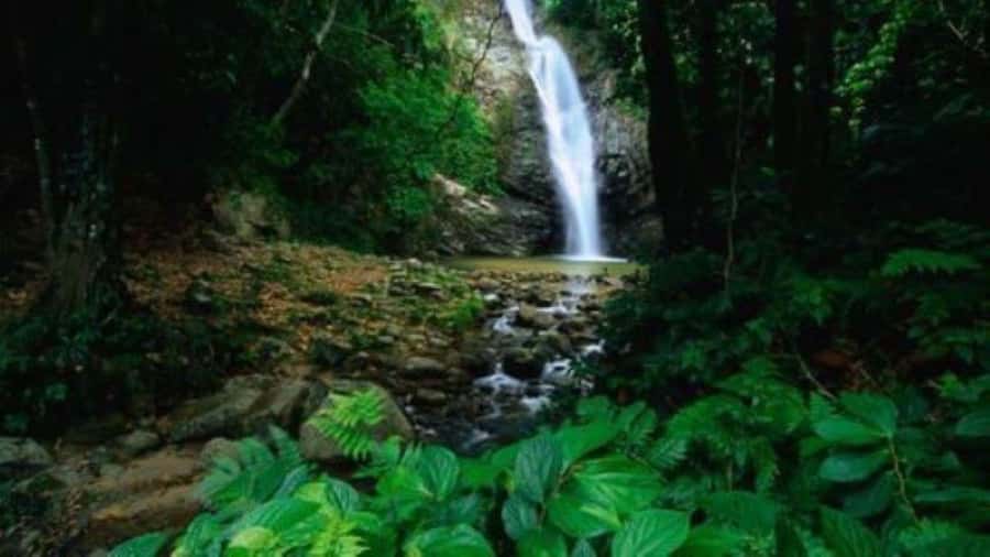 Fiji Biausevu waterfall & Village Tour - Practical preparation for the walk