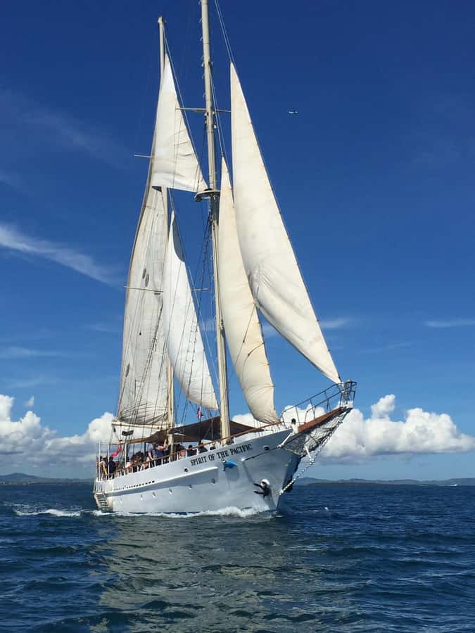Fiji: Captain Cook Cruises - Island & Reef Day Trip - Key points to know before booking
