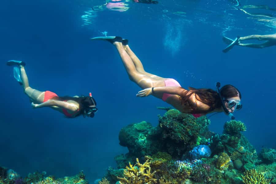 Fiji: Captain Cook Cruises - Island & Reef Day Trip - Kayaks, paddle boards, volleyball, and quiet time