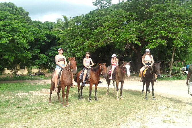 Fiji Coral Coast Venture - The sandy stop along the route