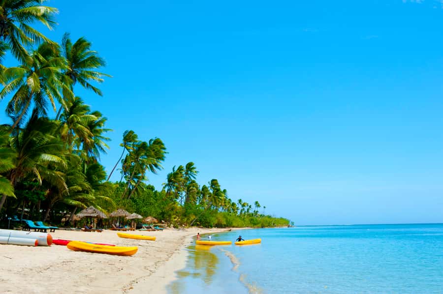 Fiji: Cultural Island Adventure & Jungle Cruise Experience - Medicine Jungle Bush Walk and ancient pottery site