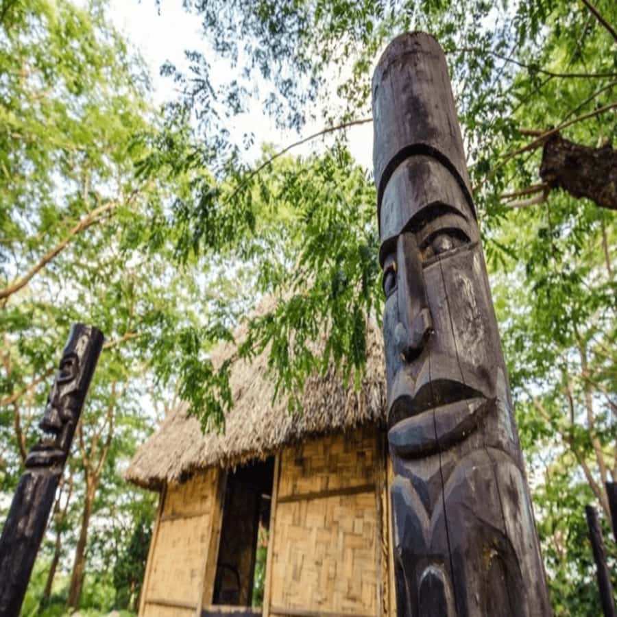 Fiji: Cultural Village Evening Tour with Dinner and Show - From Nadi to a Fijian village after sunset