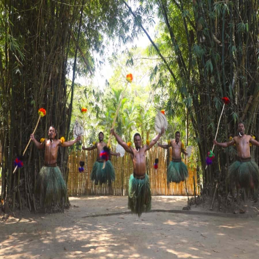Fiji: Cultural Village Evening Tour with Dinner and Show - Who will enjoy this evening most