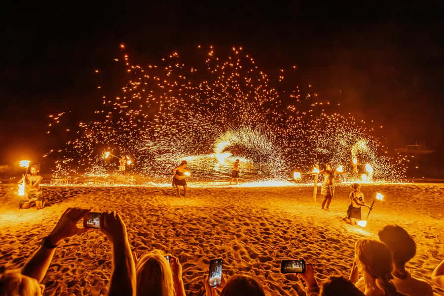Fiji: Day and Night Combo Tour - Key points to know before booking