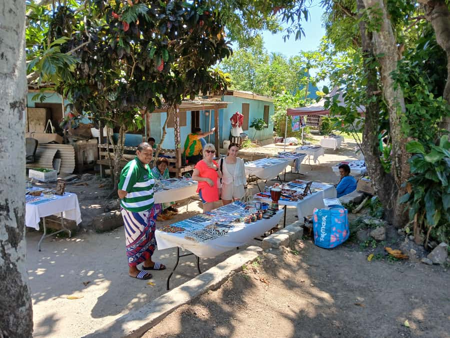 Fiji: Discover Nadi with Sabeto Hotspring and Mudpool Tour - The main event at Sabeto Tifajek