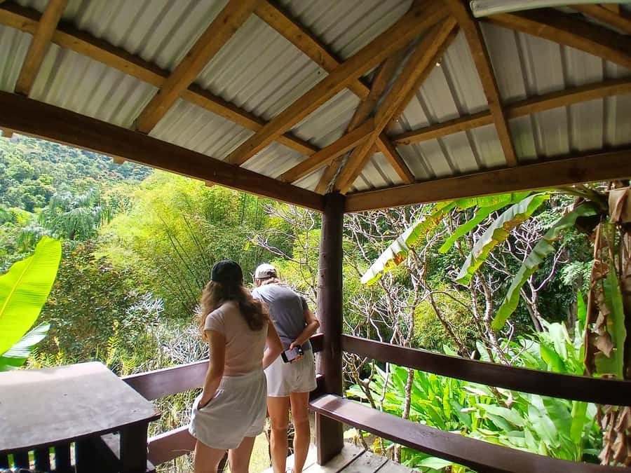 FIJI: Garden of the Sleeping Giant Tour - What the Garden of the Sleeping Giant Really Is