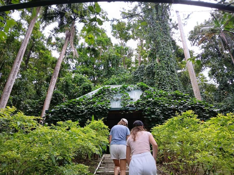 FIJI: Garden of the Sleeping Giant Tour - Walking Among Orchids and Native Plants