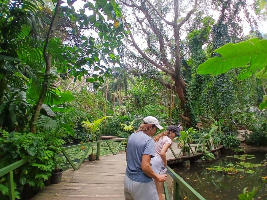 FIJI: Garden of the Sleeping Giant Tour - The Lily Pond and Sleeping Giant Lookout