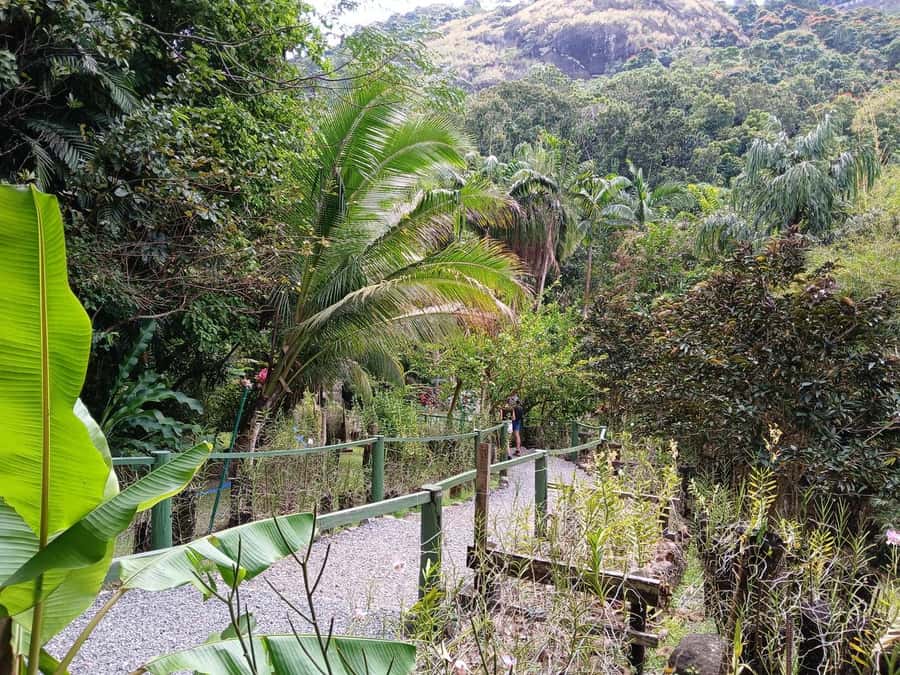 FIJI: Garden of the Sleeping Giant Tour - Transfers, Entry Options, and the $45 Price