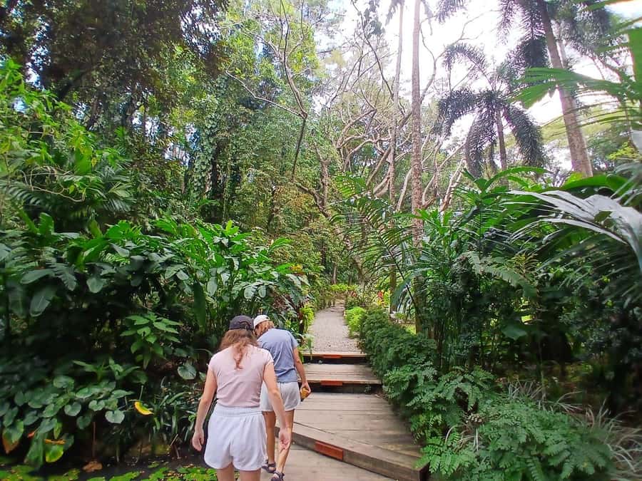 FIJI: Garden of the Sleeping Giant Tour - Who Will Enjoy This Garden Most