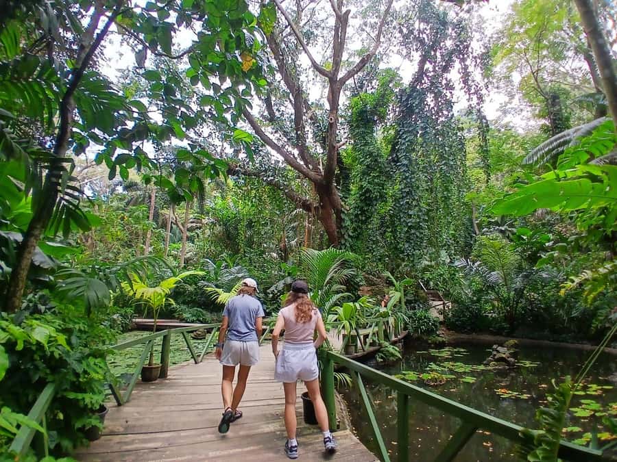 FIJI: Garden of the Sleeping Giant Tour - The Drive Through Sabeto Valley