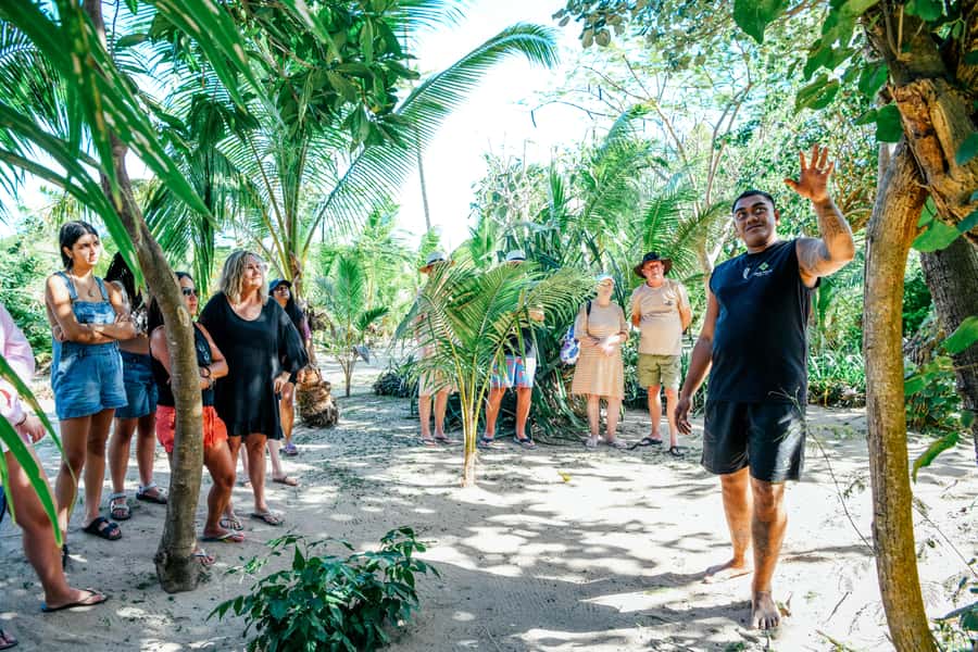 Fiji: Half-Day Island Activities Tour with Jungle Cruise - Breakfast, Tea, and Your First Island Orientation