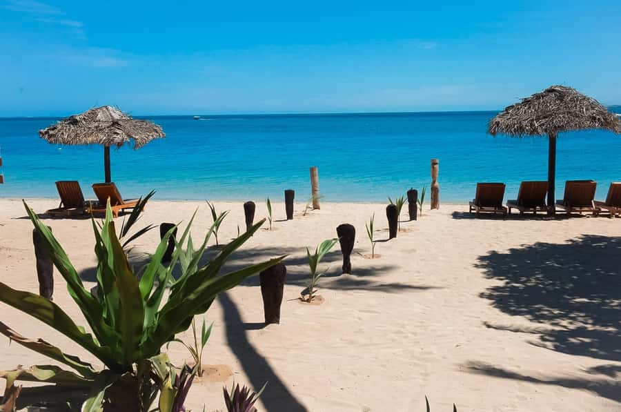 Fiji: Half-Day Island Activities Tour with Jungle Cruise - The Morning Road Transfer