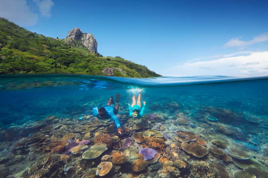 Fiji: Kuata Island Marine Conservation Experience Full Day - From Port Denarau to Barefoot Kuata