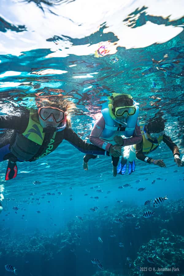 Fiji: Kuata Island Marine Conservation Experience Full Day - Buffet Lunch at Barefoot Kuata