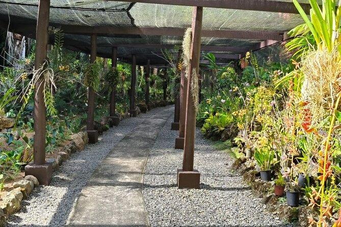 Fiji Lautoka Shore Excursions Tour - Visiting Viseisei and its Fijian traditions