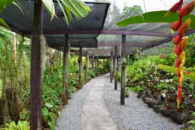 Fiji Lautoka Shore Excursions Tour - Who should choose this Lautoka shore excursion
