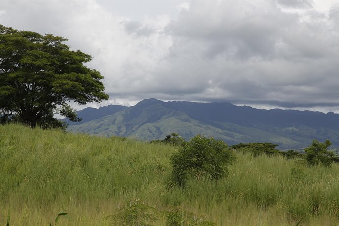 Fiji Local Village, Market, Temple & Garden of Sleeping Giant with Mud Pool Tour - Key things to know before booking