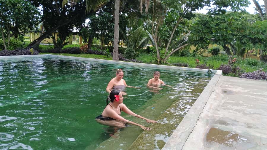 FIJI-NADI: Sabeto Tifajek Hot Spring and Mudpool Tour - From Nadi or Lautoka to the Tifajek entrance