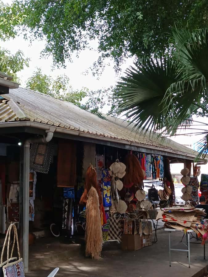 Fiji: Nadi Tour with Tifajek Mudpool and Hotspring Visit - One hour at the Garden of the Sleeping Giant
